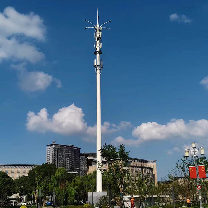 Platform veya antenlerle özel sıcak dip galvanizli telekom monopolleri